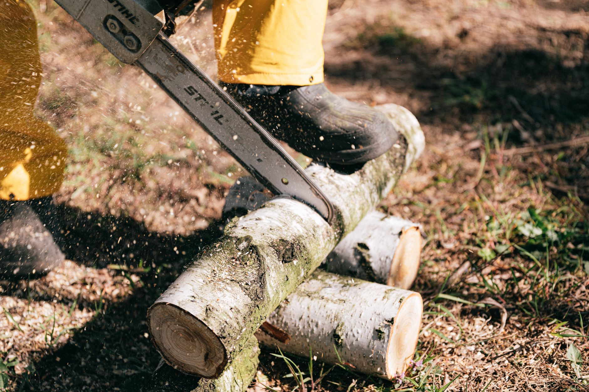 Storm Clean-Up – Marion